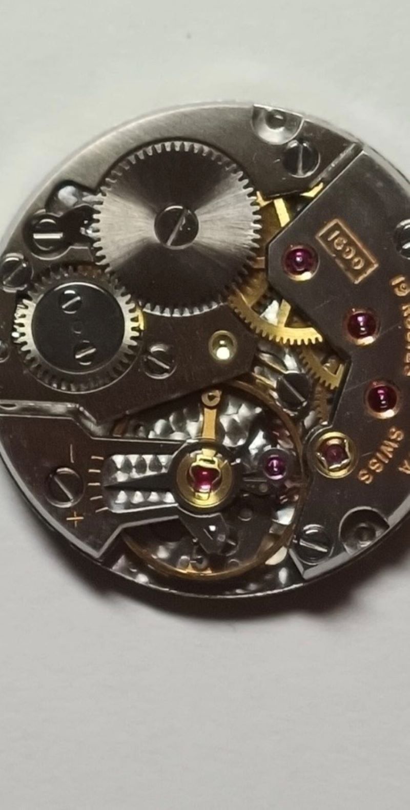 6839 foto trasera (1)